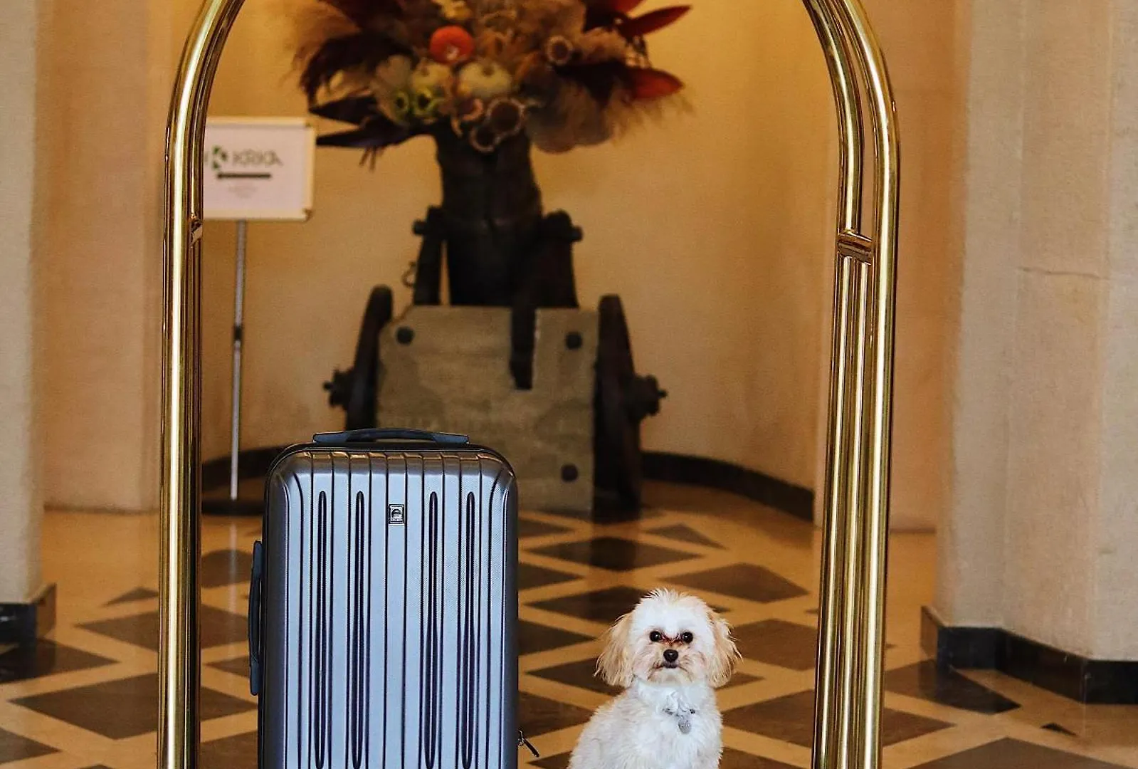 Citadel Gastro Boutique Hotel - Готель Цитадель Львів 5*, Lvov